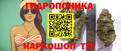 мет Новодвинск