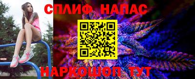 mdpv Новозыбков
