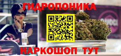 mdpv Новозыбков
