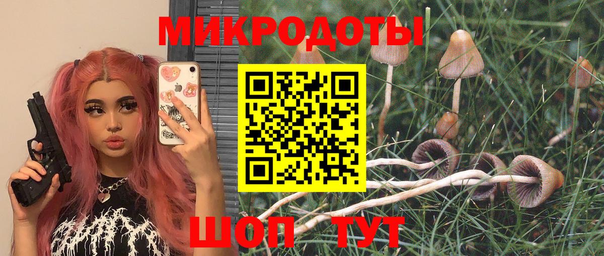 купить   Вход с VPN  Галлюциногенные грибы ЛСД  Солнечногорск  Псилоцибиновые грибы мухоморы 