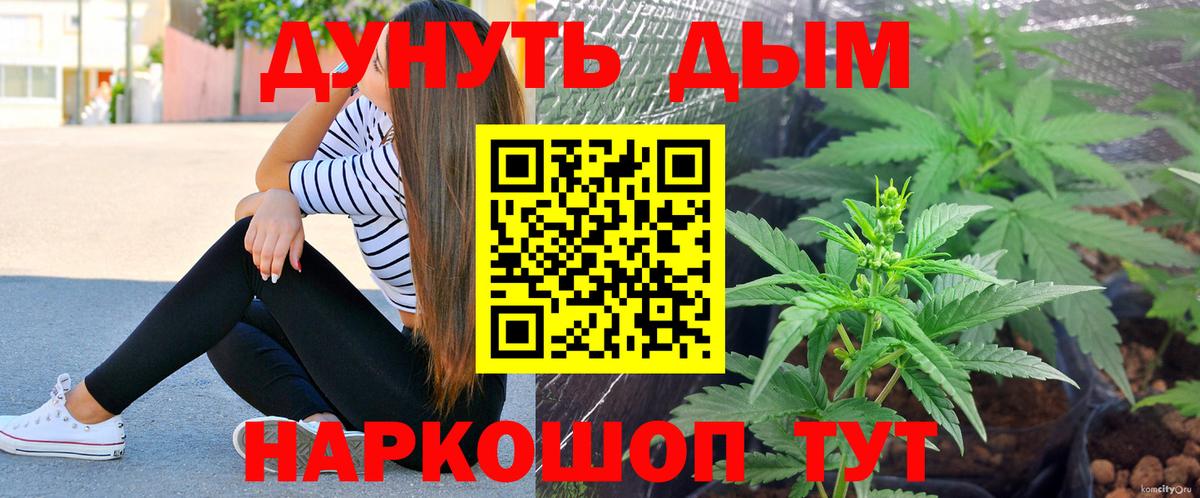 Каннабис конопля  Каннабис гибрид  МАРИХУАНА семена  Вход с VPN  Солнечногорск 